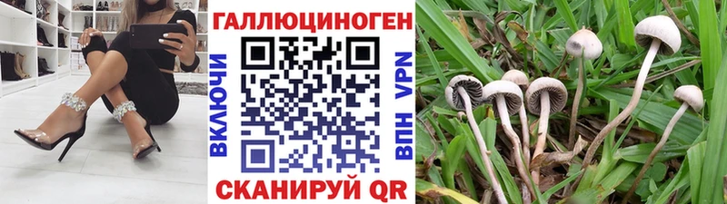 darknet формула  Ладушкин  Псилоцибиновые грибы мухоморы 